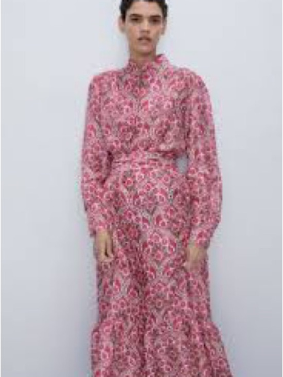 Zara Dresses & Skirts - Zara Paisley Maxi Dress